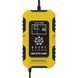 FOXSUR (12V/10A-24V/5A) FBC122410D - імпульсний зарядний пристрій, десульфатор 254 фото 2